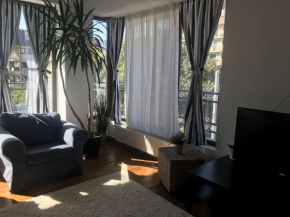 Lovely Apartment in Villa in Bucharest